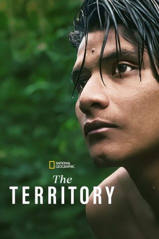 فيلم The Territory 2022 مترجم اونلاين