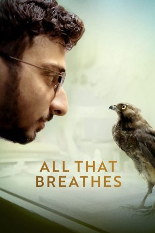 فيلم All That Breathes 2022 مترجم اونلاين