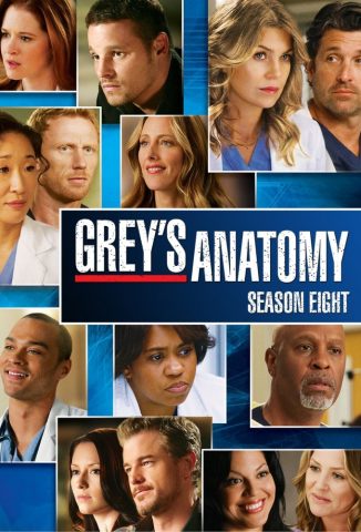 مسلسل Greys Anatomy كامل – الموسم الثامن