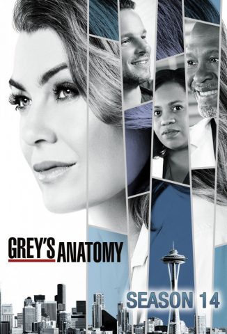 مسلسل Greys Anatomy كامل – الموسم 14