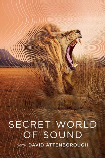 مسلسل Secret World of Sound with David Attenborough كامل – الموسم الأول