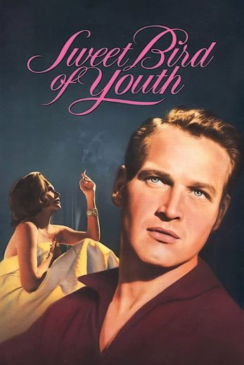 فيلم Sweet Bird of Youth 1962 مترجم