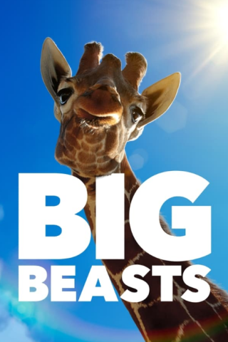 مسلسل Big Beasts كامل – الموسم الاول