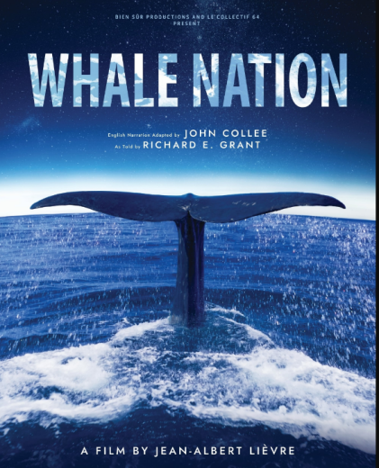 فيلم Whale Nation 2023 مترجم