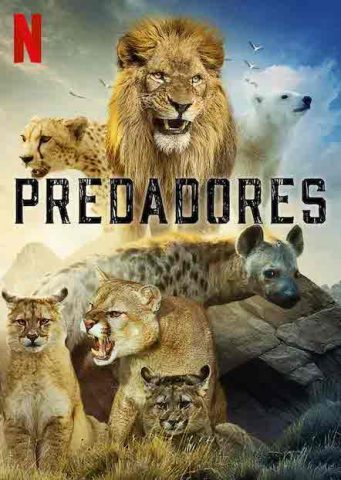 مسلسل Predators كامل – الموسم الاول