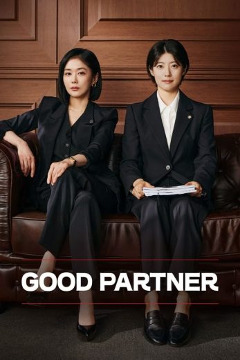 مسلسل شريك جيد Good Partner كامل – الموسم الأول