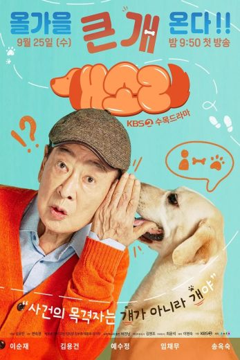 مسلسل كلب يعرف كل شيء Dog Knows Everything كامل – الموسم الأول