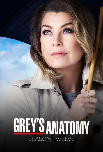 مسلسل Grey’s Anatomy موسم 12 كامل – الموسم الأول