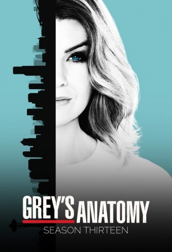 مسلسل Grey’s Anatomy موسم 13 كامل – الموسم الأول