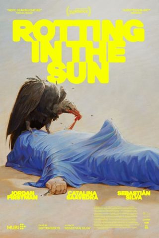 فيلم Rotting in the Sun 2023 مترجم