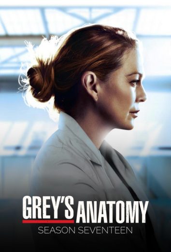 مسلسل Grey’s Anatomy موسم 17 كامل – الموسم الأول