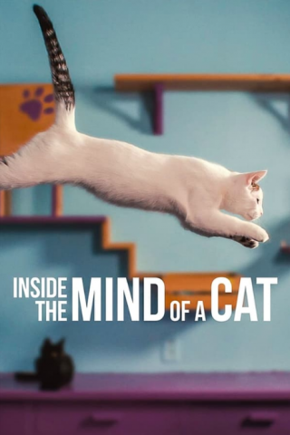 فيلم Inside the Mind of a Cat 2022 مترجم اونلاين