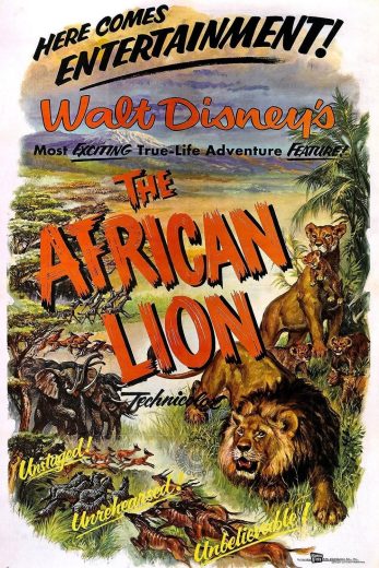 فيلم The African Lion 1955 مترجم