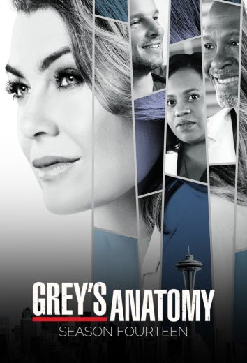 مسلسل Grey’s Anatomy موسم 14 كامل – الموسم الأول