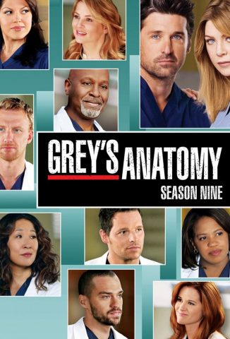 مسلسل Greys Anatomy كامل – الموسم التاسع