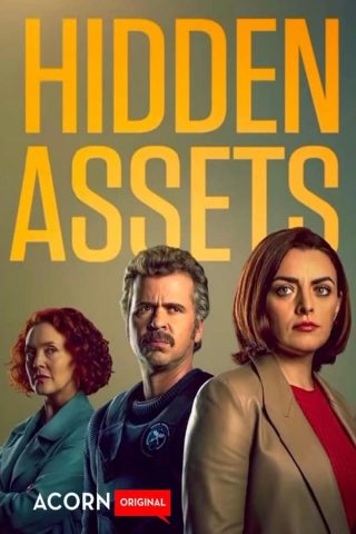 مسلسل Hidden Assets كامل – الموسم الثاني