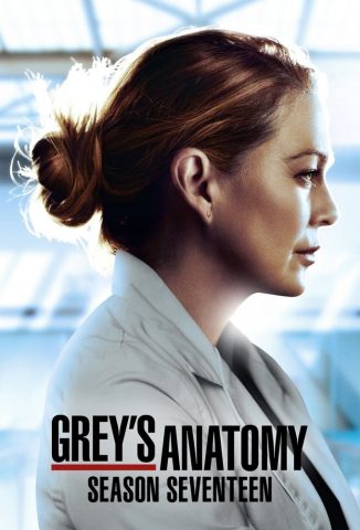 مسلسل Greys Anatomy كامل – الموسم 17