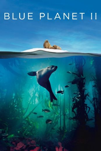 مسلسل Blue Planet II كامل – الموسم الاول